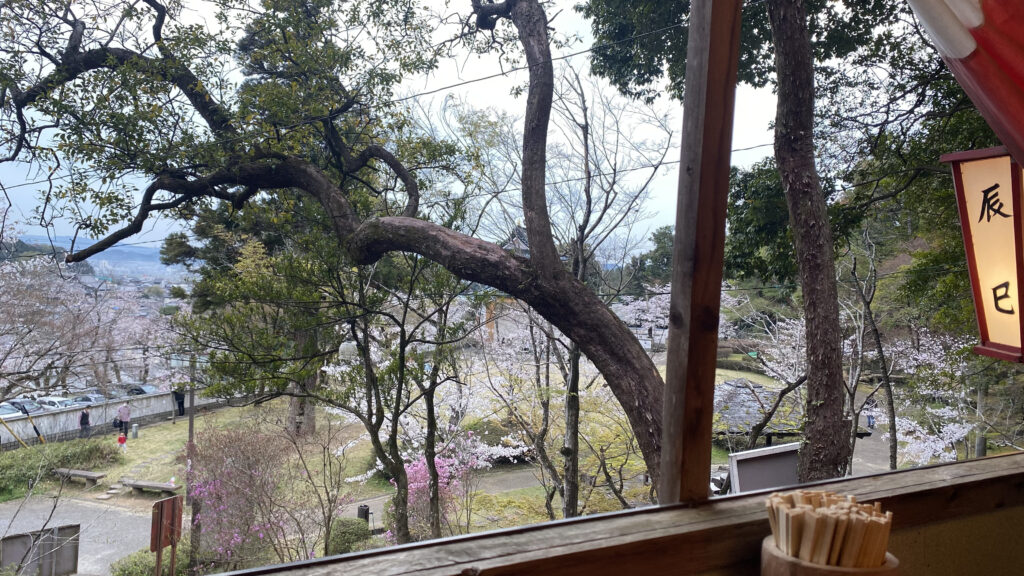 絶景お食事処 辰巳